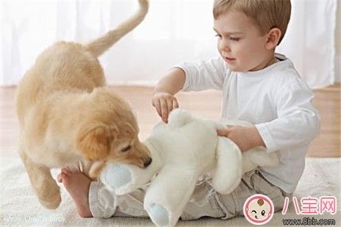 寶寶與家里養(yǎng)的寵物相處注意事項(xiàng)