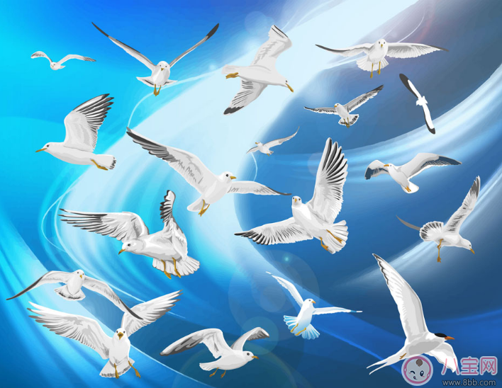 胎寶寶愛聽的胎教故事：勤勞的小鴿子