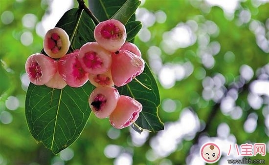 三伏天如何讓寶寶輕松避暑呢 三伏天如何讓寶寶輕松避暑呢