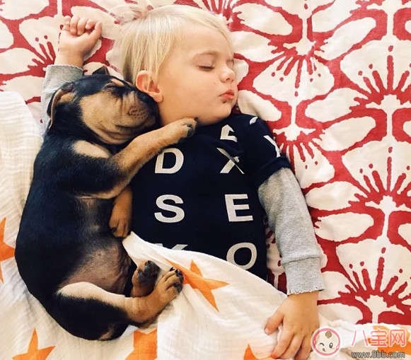 夏天寶寶要不要午睡 小孩夏天午睡好處(有助于幼兒語言發(fā)展) 夏天寶寶要不要午睡 小孩夏天午睡好處(有助于幼兒語言發(fā)展)