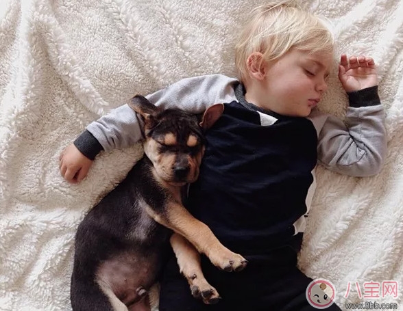 夏天寶寶要不要午睡 小孩夏天午睡好處(有助于幼兒語言發(fā)展) 夏天寶寶要不要午睡 小孩夏天午睡好處(有助于幼兒語言發(fā)展)