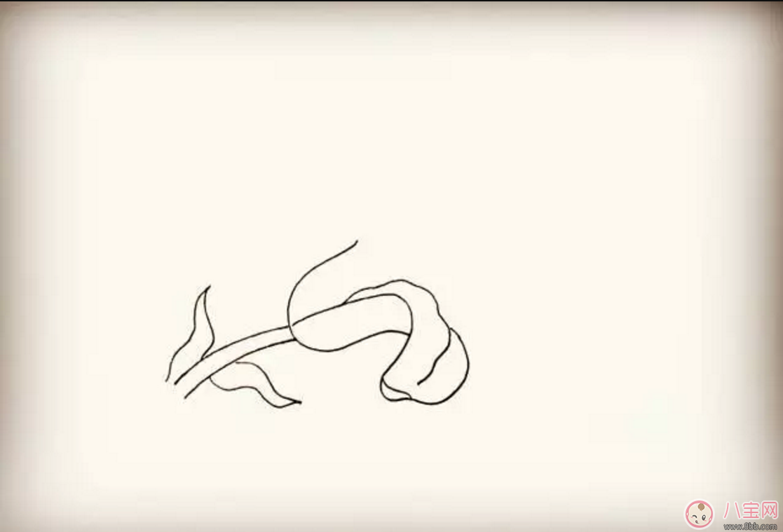 怎么教寶寶花百合花 百合花簡(jiǎn)筆畫(huà)