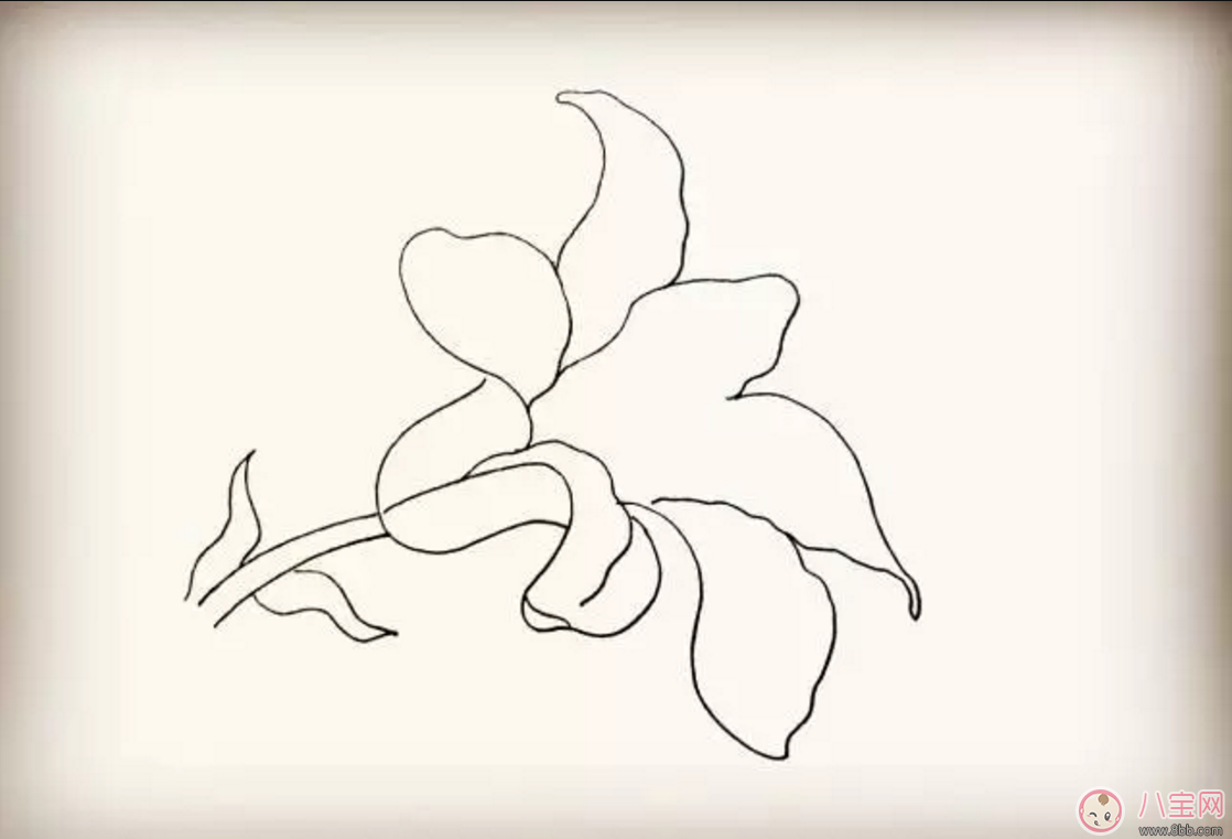 怎么教寶寶花百合花 百合花簡(jiǎn)筆畫(huà)