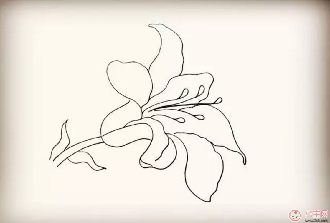 怎么教寶寶花百合花 百合花簡(jiǎn)筆畫(huà)