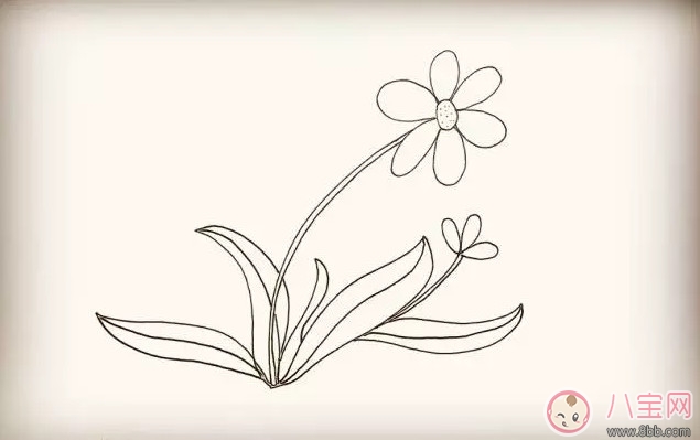 兒童簡筆畫太陽花 太陽花圖片簡筆畫步驟