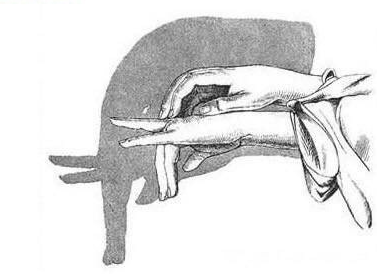 親子游戲手影玩法    有意思的手影推薦