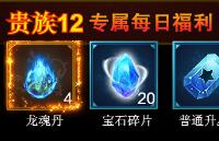 龍紋王者各VIP等級(jí)每日專屬福利是什么