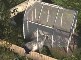 模擬山羊游戲截圖三