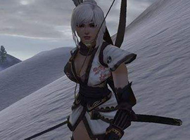 騎馬與砍殺火與劍游戲截圖三