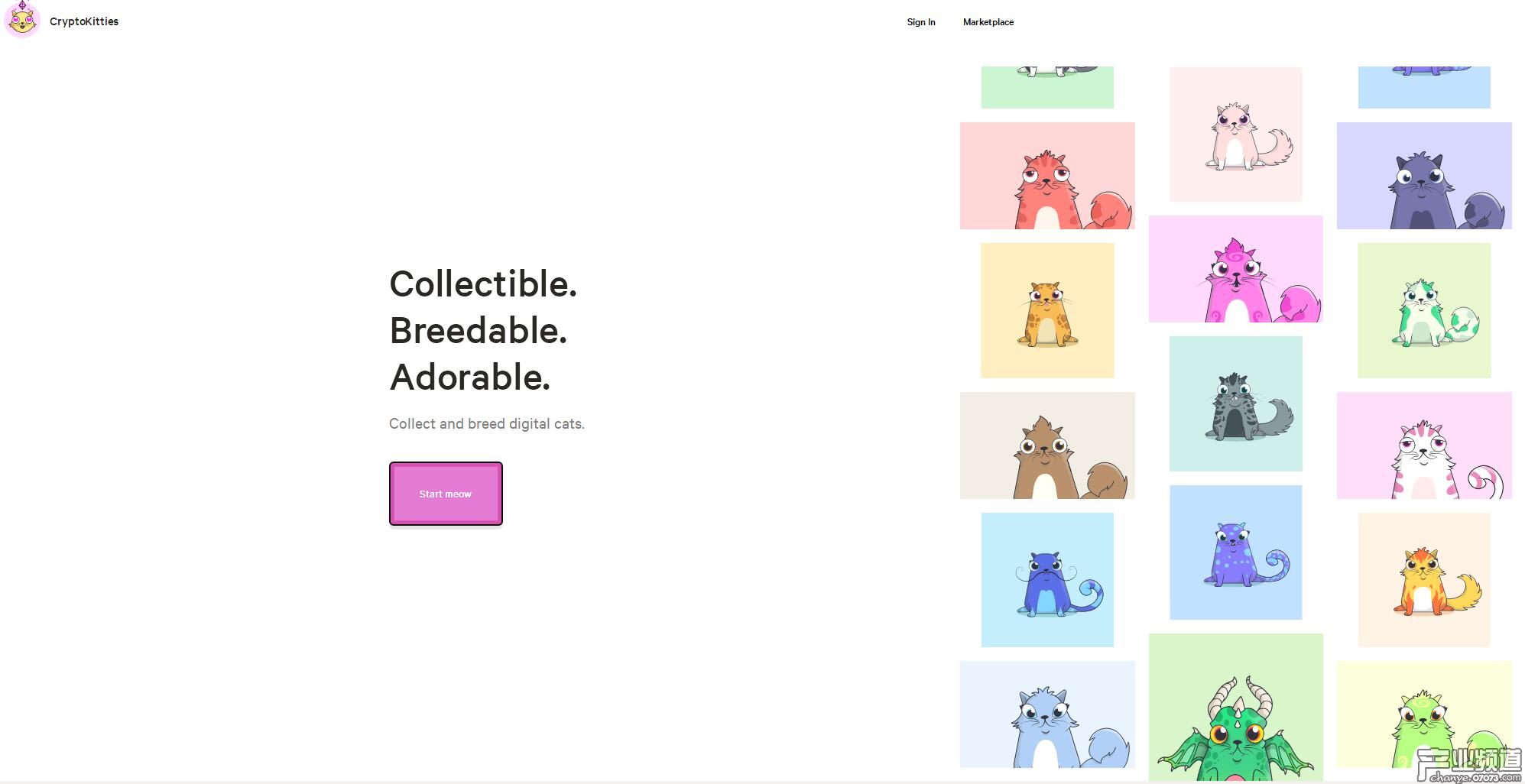 以太貓進(jìn)入中國(guó)：理想很豐滿 現(xiàn)實(shí)很骨感