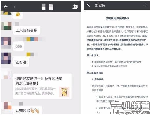 小米區(qū)塊鏈寵物“加密兔”