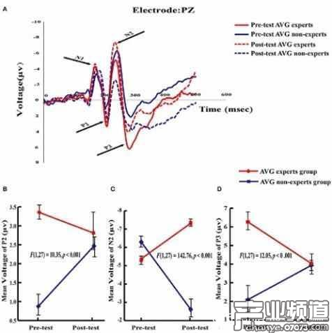 神經(jīng)電生理結(jié)果