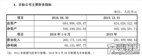 心動網(wǎng)絡(luò)主要財務(wù)指標