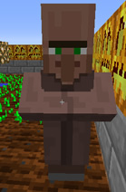 1510645873710560.jpg 30.jpg