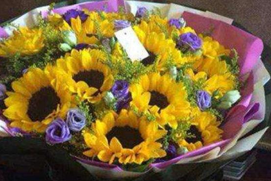 向日葵一般送幾朵，盤點(diǎn)最合適的朵數(shù)(1/2/6/8/9/10)