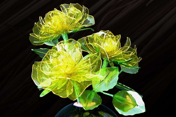 水晶花花語是什么，不同顏色花語含義不同