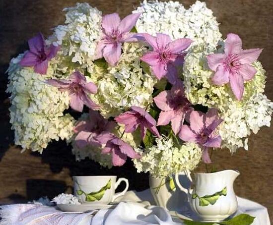 繡球花可以水培嗎，繡球花怎么在花瓶里養(yǎng)