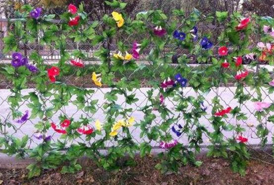 牽?；ㄓ卸締幔瑺颗；ㄟm合在室內(nèi)養(yǎng)嗎