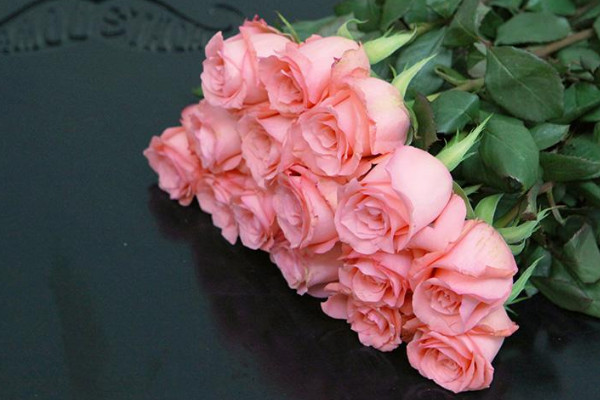 戴安娜玫瑰花語(yǔ)，高貴優(yōu)雅/幸福浪漫/感激感動(dòng)