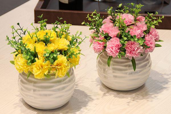 康乃馨品種分類，按照三種方法進行分類