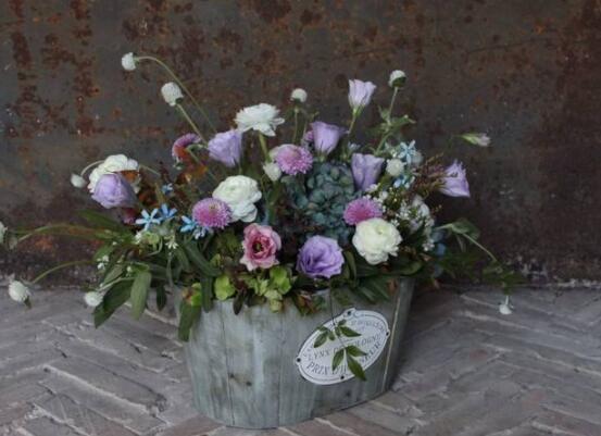 繡球花插花養(yǎng)護，教你四點有效養(yǎng)護措施(水養(yǎng)爆盆)