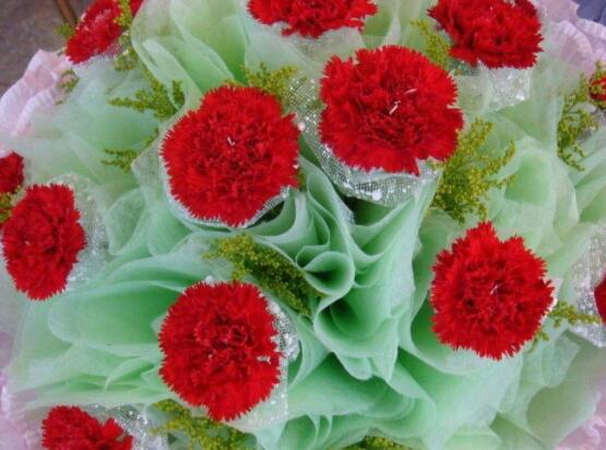 怎么讓康乃馨快速開花，教你五種花開爆盆最好方法