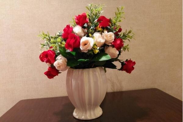 盆栽玫瑰花冬天怎么養(yǎng)，保證光照充足并減少肥水