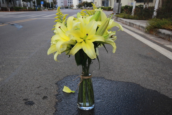 怎樣才能養(yǎng)好百合花，選擇疏松肥沃的砂質(zhì)土壤養(yǎng)護(hù)