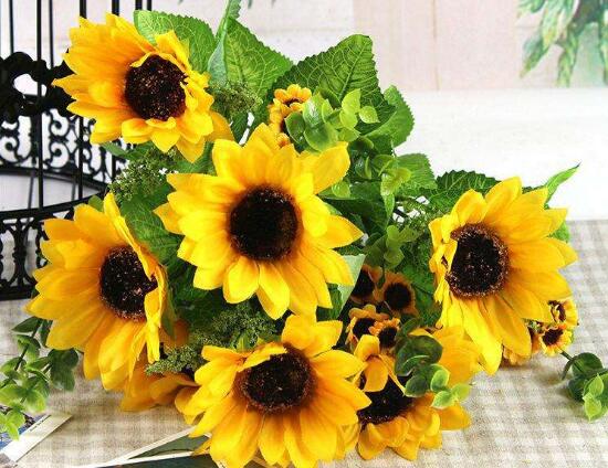 向日葵需要修剪嗎，怎么修剪向日葵/摘心修整