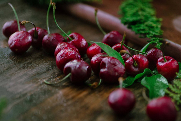 盆栽車厘子種植技術(shù)，品種和土壤的選擇非常重要