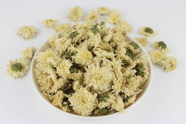 菊花有毒嗎，觸摸會(huì)導(dǎo)致皮膚瘙癢、腫脹