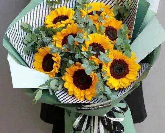向日葵一般送幾朵，盤點(diǎn)最合適的朵數(shù)(1/2/6/8/9/10)