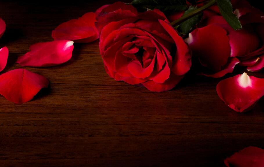 送玫瑰花朵數(shù)的含義，999朵天長地久的愛