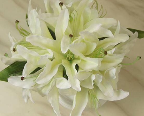 香水百合的養(yǎng)殖方法和注意事項，老農教你最實用七大養(yǎng)殖方法