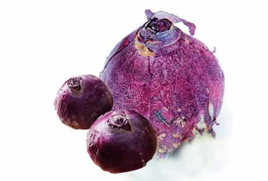 風(fēng)信子種球發(fā)霉怎么辦，涂抹滅菌靈、保持創(chuàng)面干燥