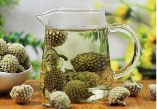 綠蘿花茶可以長(zhǎng)期喝嗎，綠蘿花茶的功效和作用