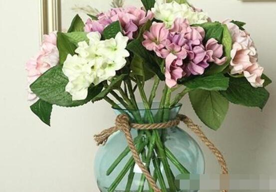 繡球花插花養(yǎng)護，教你四點有效養(yǎng)護措施(水養(yǎng)爆盆)