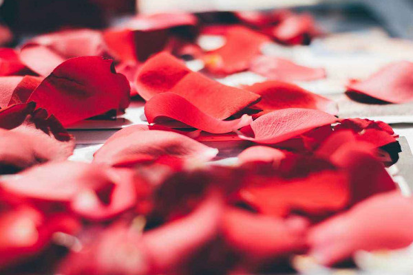 玫瑰花怎么處理不浪費(fèi)，水培保存或制成干花