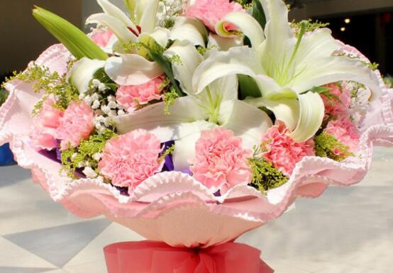 康乃馨多少錢一朵，不同朵數(shù)不同價格/幾十元至幾百元