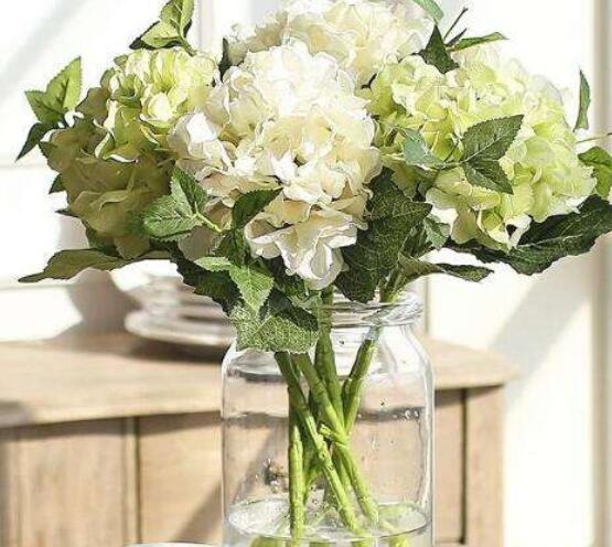 水養(yǎng)繡球花蔫了怎么辦，做好這五點(diǎn)水養(yǎng)花色鮮艷美麗