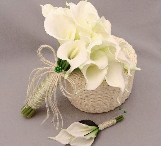 馬蹄蓮怎么修剪，馬蹄蓮的修剪方法