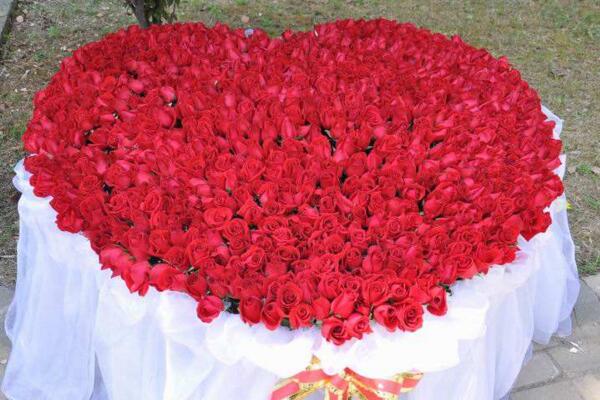玫瑰花送幾朵代表什么，求婚首選99朵玫瑰花