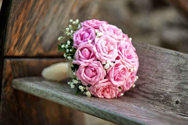 粉紅玫瑰花語(yǔ)，愛(ài)情/初戀/對(duì)女性的贊美