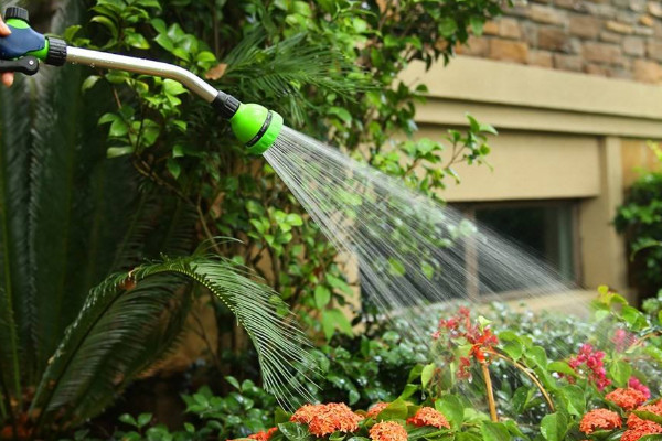 啤酒可以代替營(yíng)養(yǎng)液?jiǎn)?，不能代替營(yíng)養(yǎng)液長(zhǎng)期使用