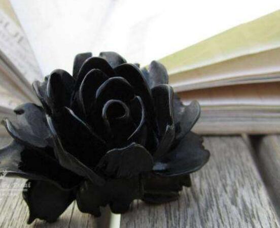 薔薇花圖片大全，細(xì)數(shù)薔薇花八種圖片大全