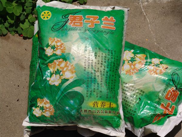 君子蘭施肥方法，加固肥和追液肥兩種方法讓你君子蘭年年開(kāi)花