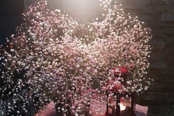 滿天星花語和寓意，純潔浪漫/友情/思念等