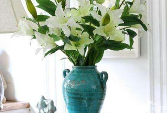 香水百合怎么養(yǎng)，光照充足、溫度合理(土培與水培)