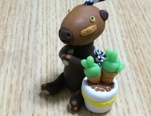 碧光環(huán)怎么繁殖，分播種和扦插兩種方法