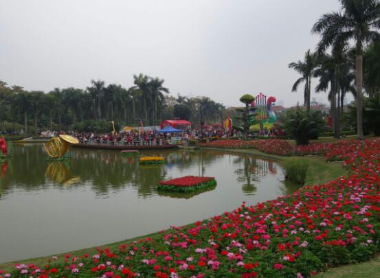 天竺葵的花語(yǔ)，象征著偶然的相遇、幸福就在你身邊